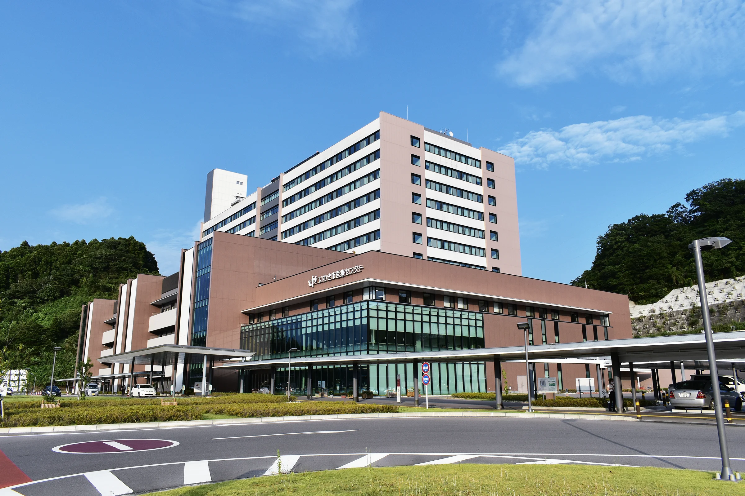 実績