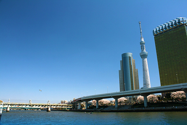 skytree_s